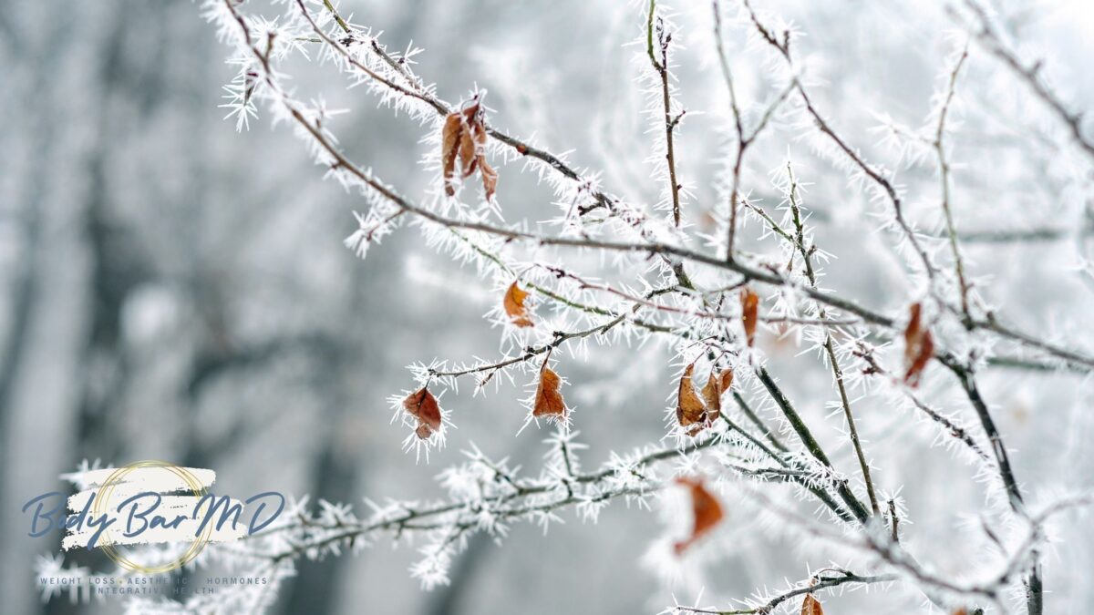 Frost-covered tree branches with orange leaves, symbolizing seasonal changes and the impact on hormonal balance.