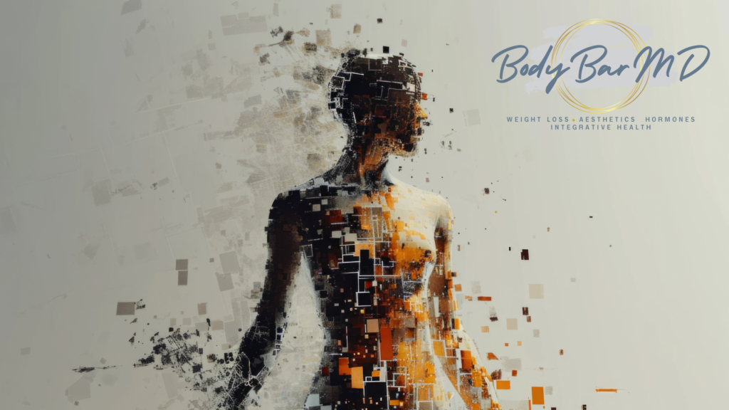 Abstract digital artwork of a human figure with fragmented, pixelated shapes, illustrating concepts of health, transformation, and holistic wellness. Body Bar MD logo is visible in the upper right corner with the text 'Weight Loss, Aesthetics, Hormones, Integrative Health'.